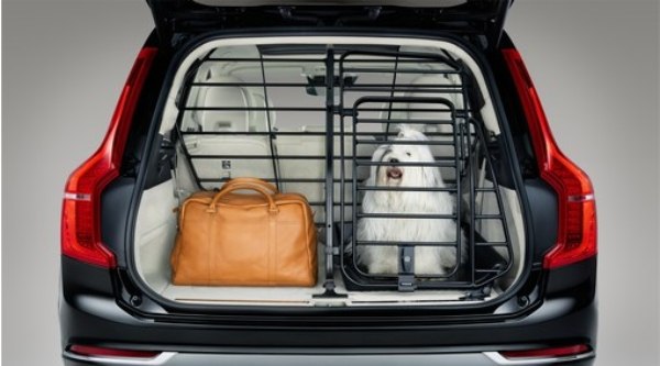 dog travelling in car