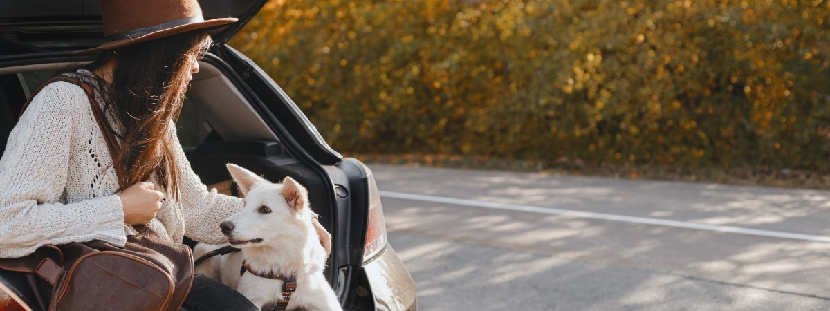 woman and dog in car