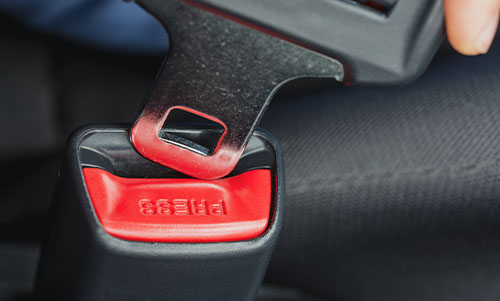 seat belt law