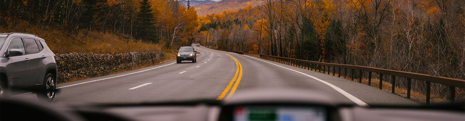 autumn drive