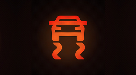 Traction Control Warning Light
