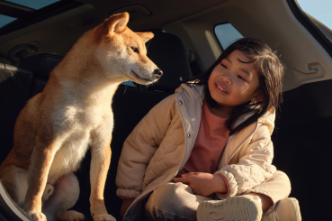 Best Cars for Dogs