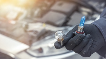 Headlight Bulbs