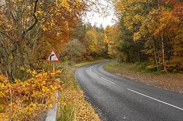 Master the Lanes: A Complete Guide to Driving on Country Roads