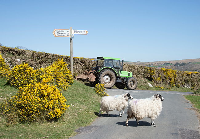 Tractor driving in a rural road