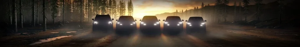 Ford Campaign of 5 new cars