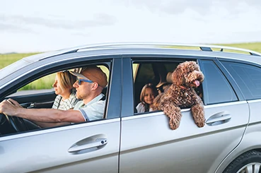 Sun, Sea, and Stalled Engines: How Summer Heat Wrecks Your Battery and Tyres