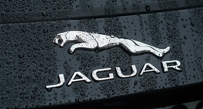 Jaguar Logo